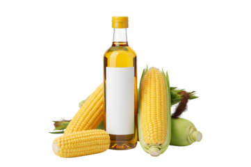 A bottle of corn oil and some corn ears, all isolated on a white background.