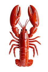 A vibrant and realistic depiction of a bright red lobster showcasing its remarkable claws and intricate body details on a transparent background