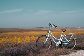 Fototapeta premium electric bicycle stands majestically against backdrop of blooming field showcasing nature beauty