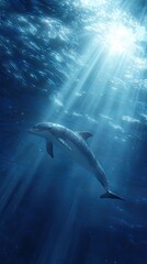 Dolphin in sunlit underwater scene (1)
