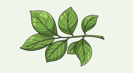 Fototapeta premium Close-up illustration of a green leafy branch with detailed veins and textures.