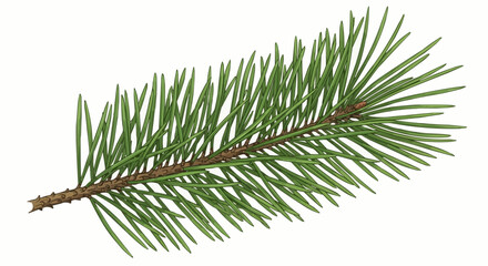 Naklejka premium Close-up of a lush green conifer branch with needles.