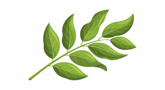 A vibrant green branch with multiple leaves, showcasing the natural beauty of foliage against a clean white background.