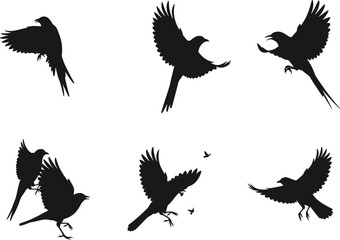 Flying Bird Silhouettes Vector Set – Black Wildlife Illustrations in Motion for Nature Art, Tattoo Design, and Graphic Projects