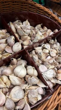 Fresh garlic variety displayed in a market basket