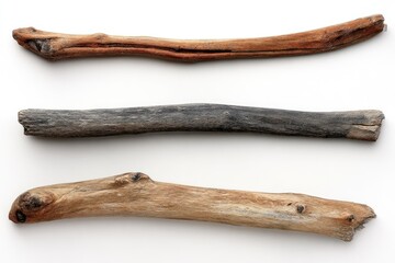 Three weathered sticks in varied hues aligned horizontally on white