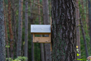 wooden bird house