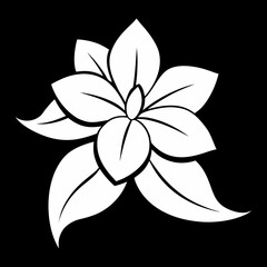 black and white flower