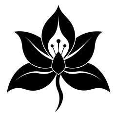 flower, nature, floral, vector, leaf, illustration, design, plant, spring, decoration, flora, summer