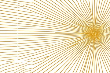 Abstract burst of golden lines radiating from a central point, forming patterns on white, partially obscured by irregular shapes