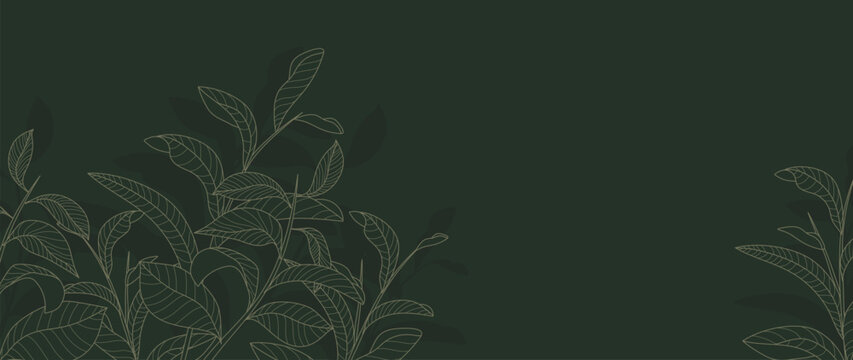 Green tea botanical on horizontal dark green background. Hand Drawn tea leaf and branches, gold line art, silhouette. Herbel Vector illustration for backdrop, promotion, marketing, packaging, ads.