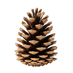 A single, well preserved pine cone with visible scales and warm brown hues. This natural element is perfect for autumn, winter, or holiday themed projects.