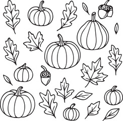 Black and white vector set of autumn elements. Hand drawn doodle style leaves, pumpkins, acorns, mushrooms, berries, and seasonal decorative objects for design, patterns, and fall illustrations.