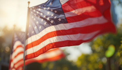 Waving american flags celebration park photography outdoor close-up patriotism display