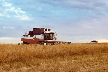 Photo of combine harvester that is harvesting wheat, Yellow wheat, bright blue sky. Concept of good harvest, world food crisis.