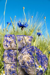 A pile of Satonnay goat cheeses with cornflower petals in a field with cornflowers