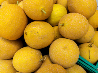 Melons on the market stall, closeup