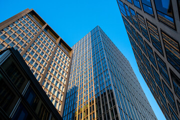 Frankfurt skyscrapers financial hub architecture, symbolizing business, finance, economy, corporate investment, resilience and urban modern progress
