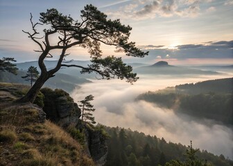 Majestic lone tree silhouetted against misty valley sunrise dramatic mountain landscape