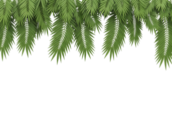Tropical Palm Leaf Border Hanging from Top Edge on White Background