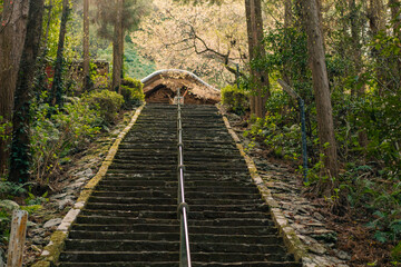 Obraz premium Tokushima, Japan - may 2 2025 No.36 Shoryu Temple on the Shikoku Pilgrimage