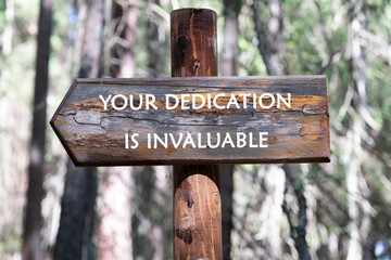 Wooden Sign Displaying a Motivational Message About Dedication, Located in a Serene Forest Environment Surrounded by Towering Trees