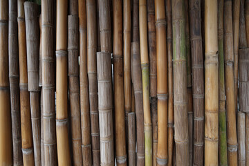 Fototapeta premium A combination of thin bamboo arranged vertically to form a decorative wall panel, modern minimalist design, natural feel