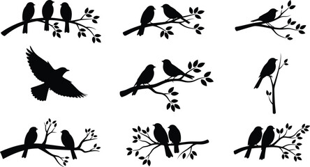 Bird silhouettes on branches, flying bird silhouette, sparrow silhouettes, nature branch design, black bird vector, decorative bird clipart