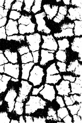 Obraz premium Abstract grunge black and white cracked pattern for artistic design