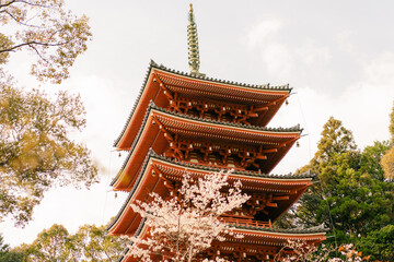  Tokushima, Japan - may 2 2025 No.31 Chikurin Temple on the Shikoku Pilgrimage
