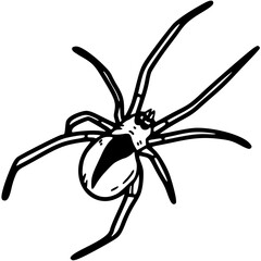 spider on a white background