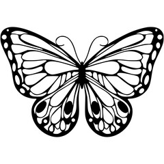 butterfly vector illustration