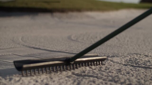 Grooming sand trap with special rake after golfer errant shot