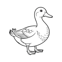 Duck coloring book page vector art illustration line art 