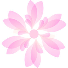 Pink Floral with Petals