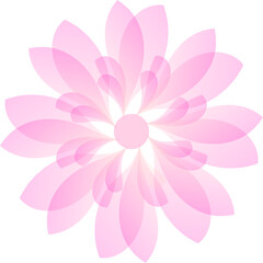 Pink Floral with Petals