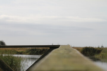 Fototapeta premium Brücke in einen Teich