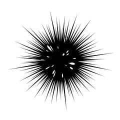 Obraz premium black and white explosion