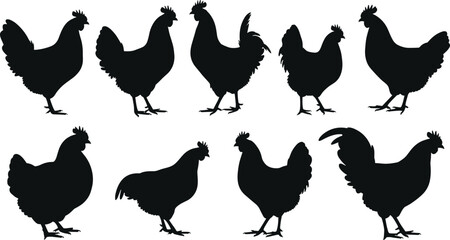 Chicken and rooster silhouettes set, farm poultry vector, black clipart design, domestic bird illustration, countryside animal art, decorative livestock symbol
