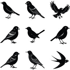 Obraz premium Nine Black Bird Silhouettes Sparrows, Swallows, and Eagle Isolated on a White Background