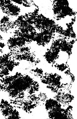 Abstract grunge black and white texture of mossy surface for urban design