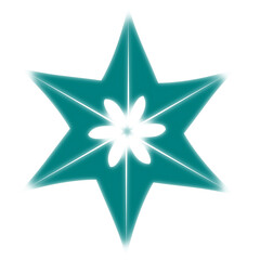 Christmas Star Decoration, Shiny Star, Sparkling Christmas Star, Twinkling Star