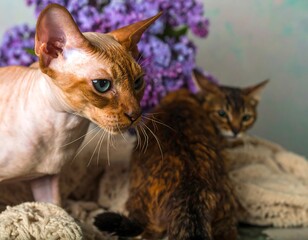 Two charming cats, one with a smooth coat and the other with a spotted one, pose together amidst a vibrant bouquet of lilacs.