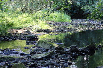 View along a woodland river with a rocky bed, with green reflections in the still water