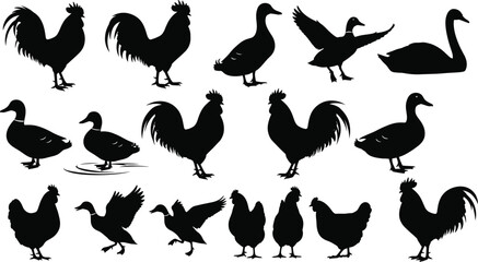 Farm bird silhouettes, rooster, chicken, duck, goose, swan vector, poultry animals, barnyard illustration, flying duck, domestic farm birds