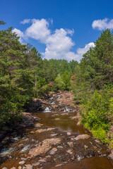 Amity Creek - A scenic cascading creek in the woods.