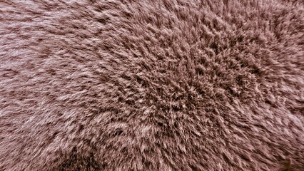 soft brown fur surface closeup with detailed fluffy texture ideal for natural background or cozy fabric design element