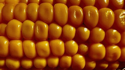 vibrant closeup of golden corn kernels with glossy texture ideal for natural food background or organic harvest pattern