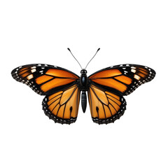 Fototapeta premium Elegant Realistic Butterfly with Open Wings – Isolated Transparent Background for Design Use
