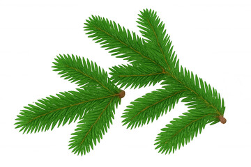 Obraz premium Verdant fir tree branches spreading dense, realistic green needles, capturing winter forest essence for festive seasonal designs